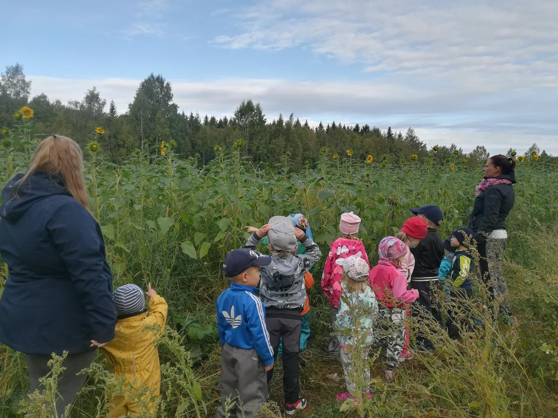 Lapset ja aikuiset luontokävelyllä korkeiden luonnonkukkien ja ruohon läpi pilvisellä pellolla