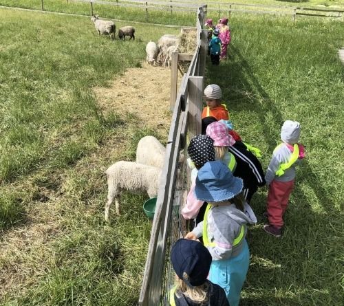 Lapset tarkkailevat lampaita aidan läpi ruohoisella maatilan aitauksella