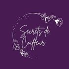 Logo de l'entreprise Secrets de Coiffeur