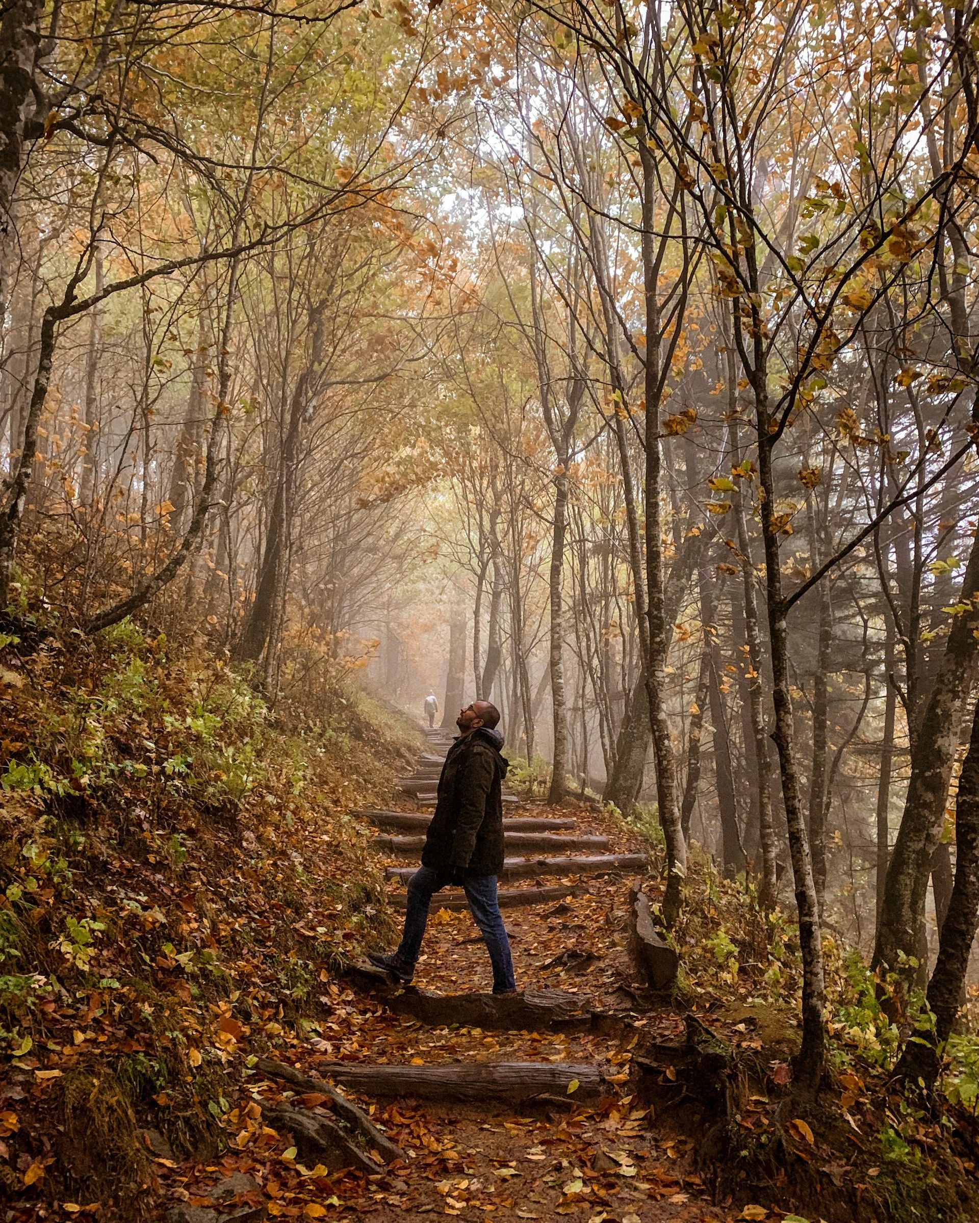 Fall in the mountains