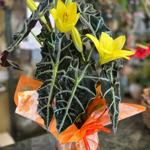 Un jarrón lleno de flores amarillas y hojas verdes.