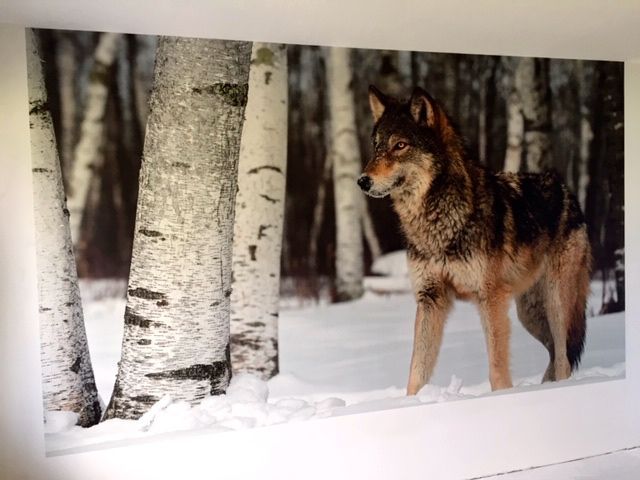 Malermeister - Maler Menzi AG in Niederurnen
