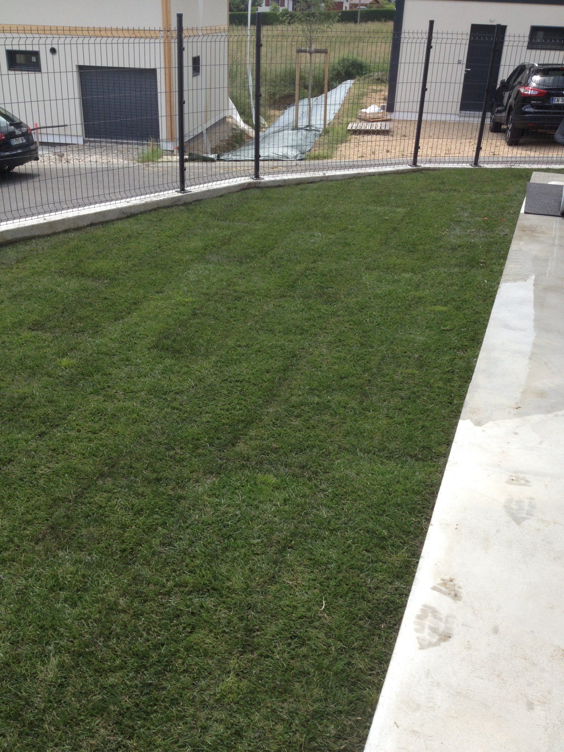 Entretien de pelouse