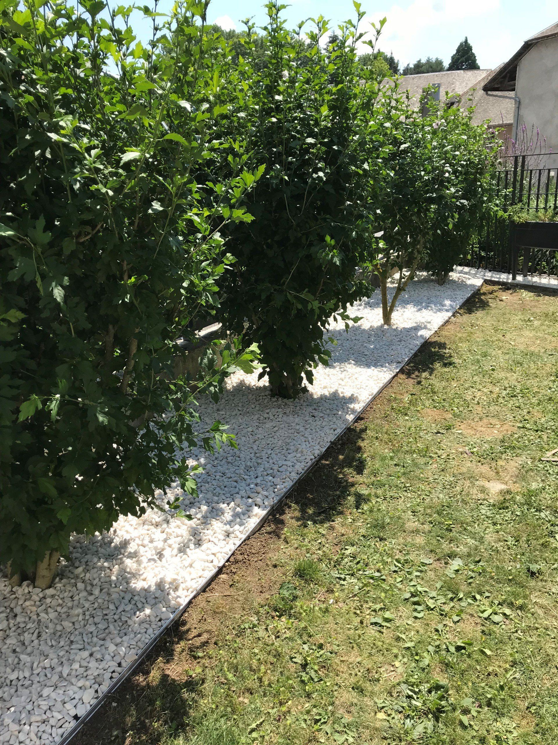 Plusieurs arbustes dans un jardin