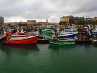 Fishing boats moored in a harbour