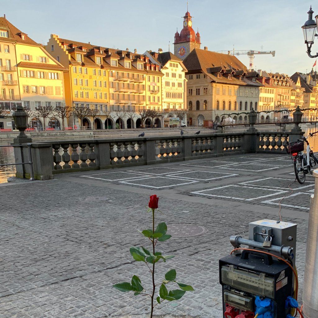 Rosen kaufen in Luzern am Luzerner Wochenmarkt