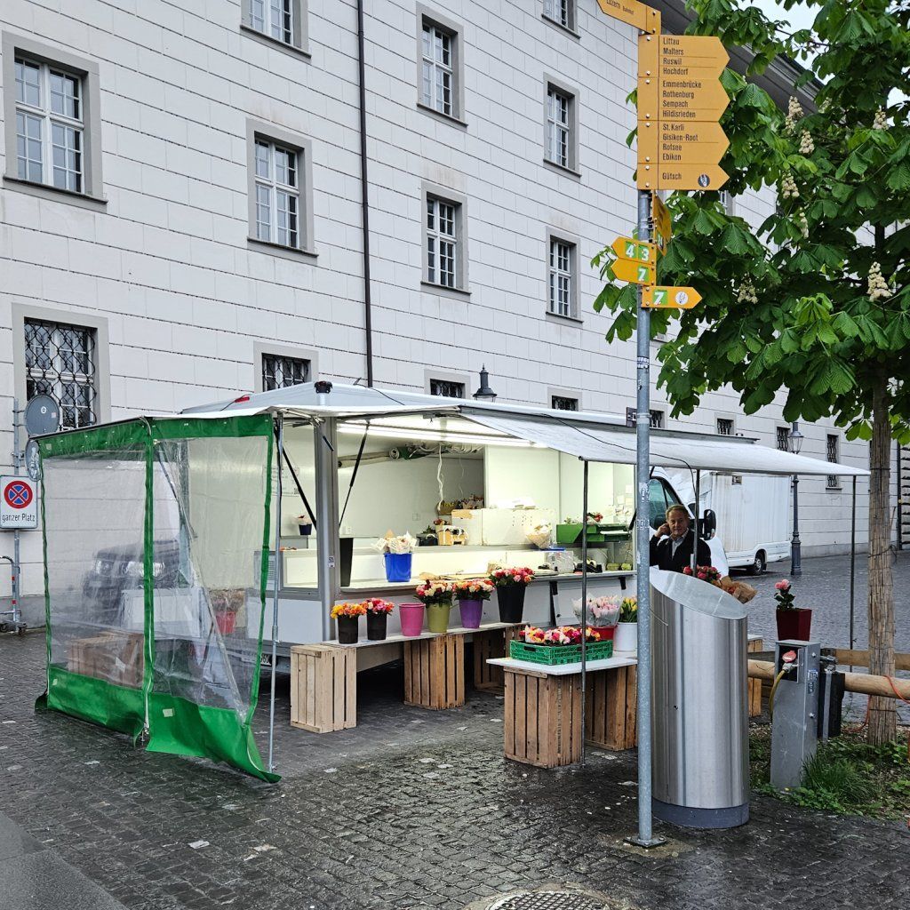 Rosen kaufen in Luzern am Wochenmarkt