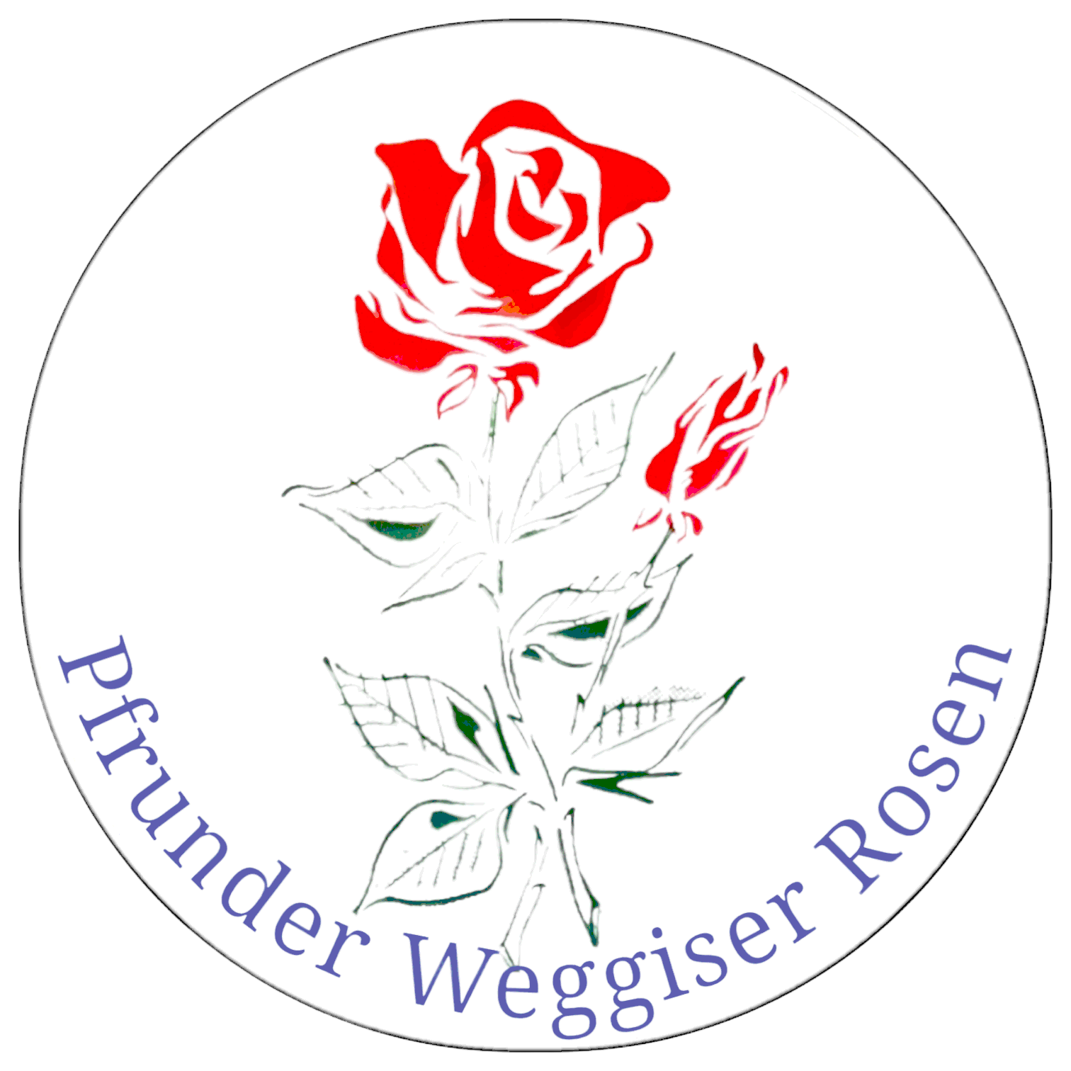 Weggiser Rosen Pfrunder