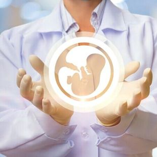 Mãos segurando um ícone circular brilhante de um feto, contra um fundo claro.
