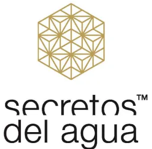 Logotipo negro &ldquo;beedigital&rdquo; sobre fondo blanco
