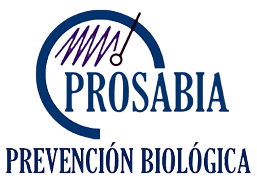 imagen cabecera