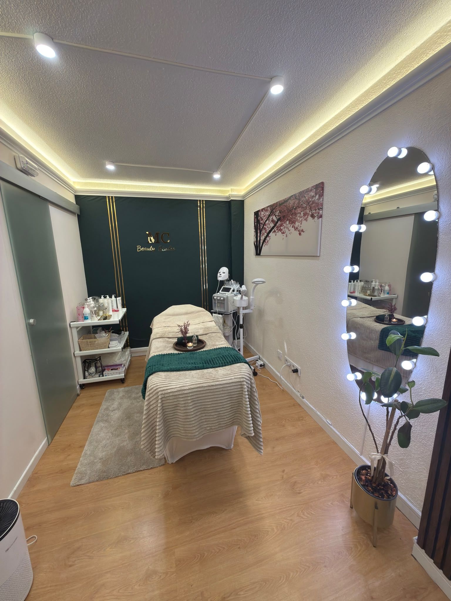 Sala de tratamiento estrecha con camilla de masaje, luces en el espejo, plantas y suelo de madera cálida.