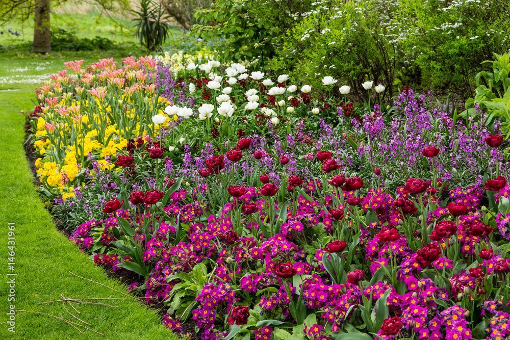 Massif de fleurs