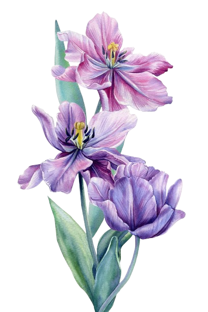 Fleur violette