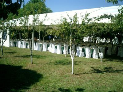 Una fila de mesas y sillas blancas en una zona de césped.