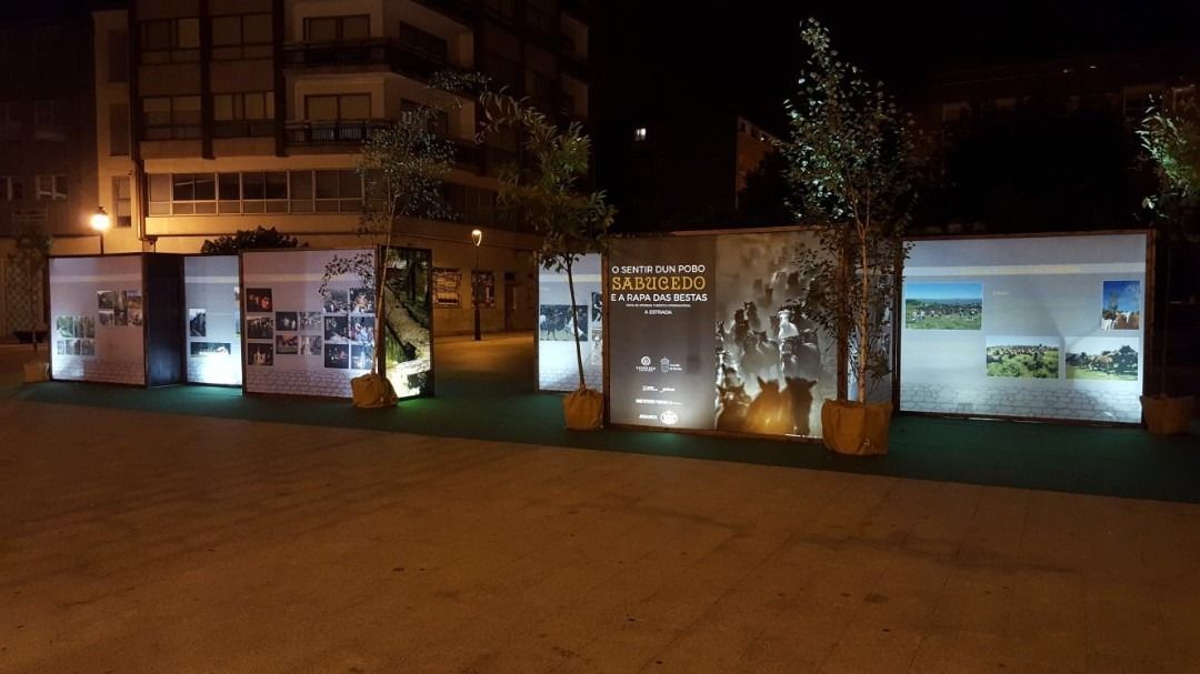 Una fila de cajas se iluminan por la noche frente a un edificio.