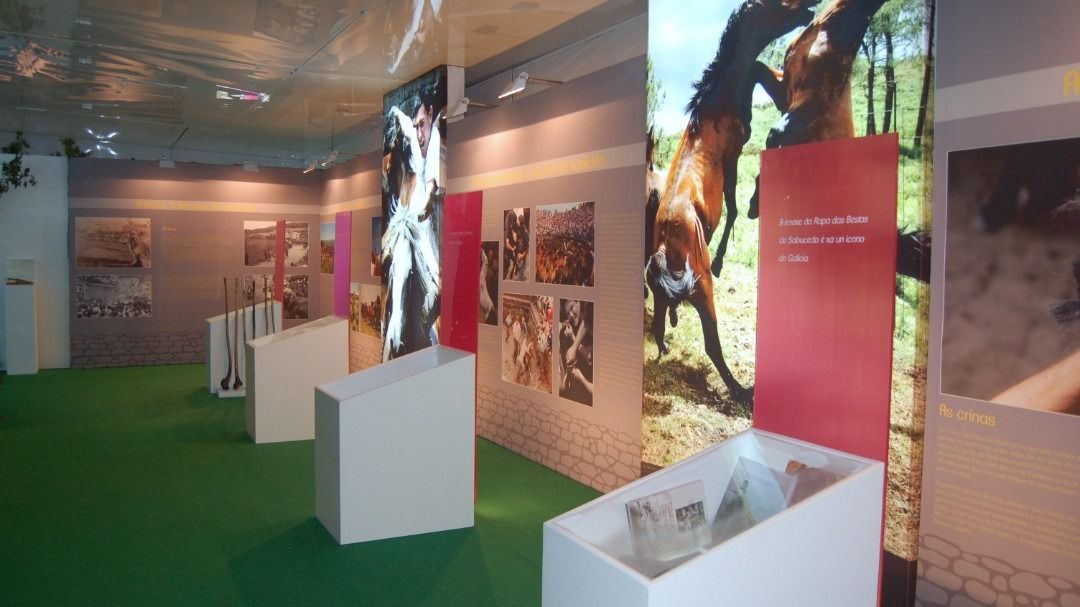 Una habitación con muchos cuadros en las paredes y una alfombra verde.