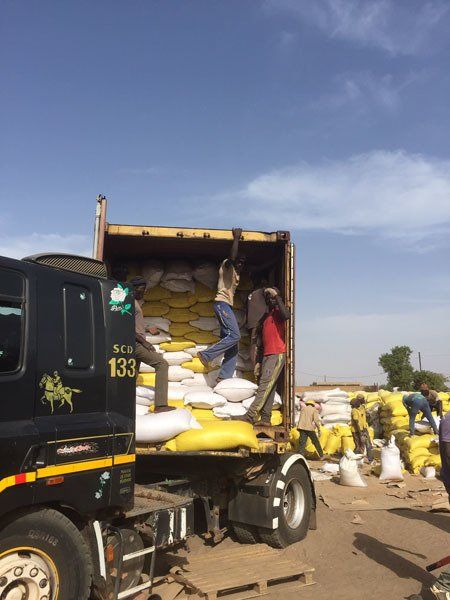 Vrachtwagen cacaobonen