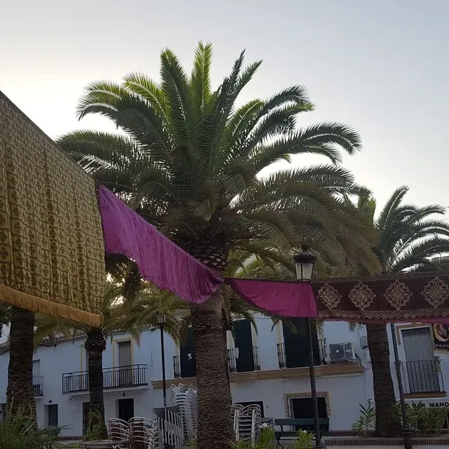 Una palmera con una tela morada colgando de ella.