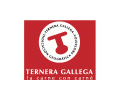 logotipo cabecera