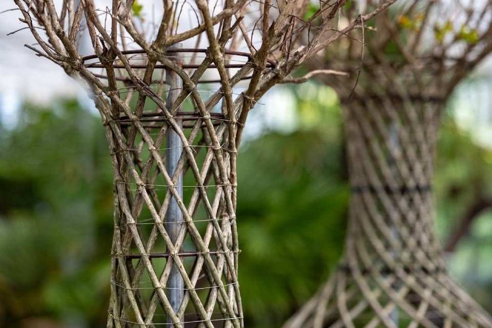 Eine Nahaufnahme einer geflochtenen Baumskulptur in einem Garten.