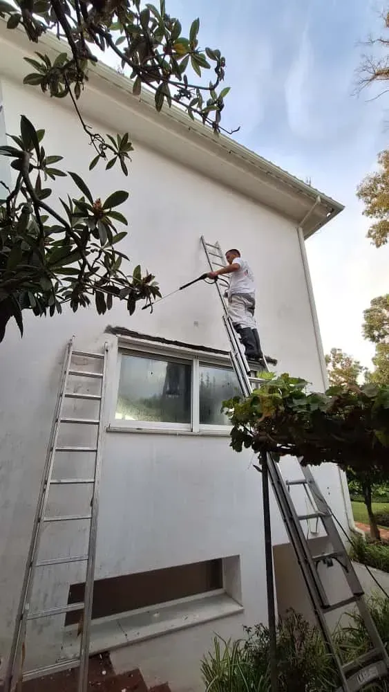 Un hombre en una escalera pinta la fachada blanca de un edificio. Dos escaleras en la pared, cerca de una ventana. Follaje verde en primer plano.