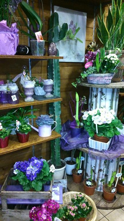 Des pots de fleurs blanches, roses et pourpres dans la boutique