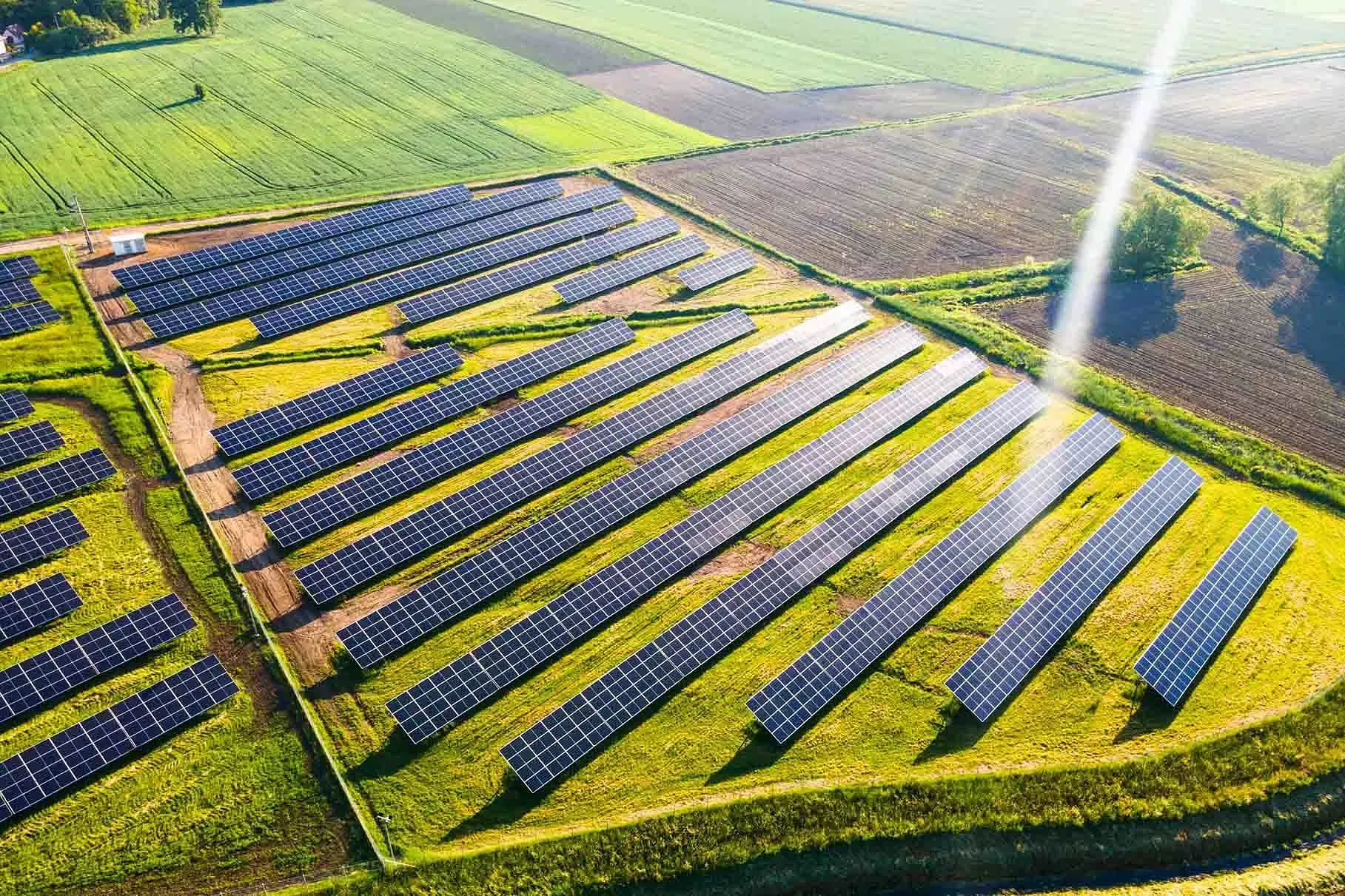 Una vista aérea de una fila de paneles solares en un campo.