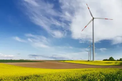 Un campo de flores amarillas con turbinas de viento al fondo.
