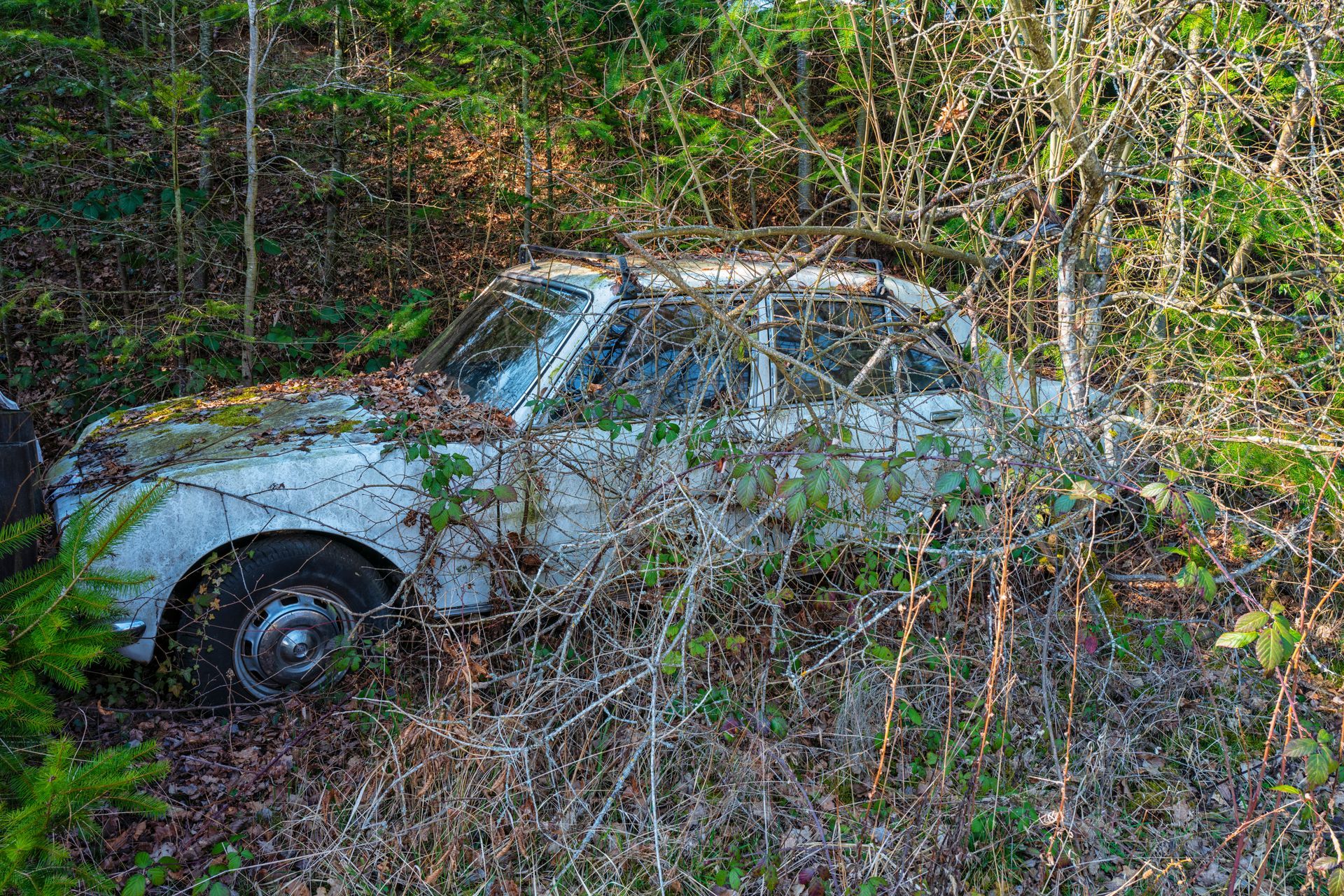 Une épave de voiture grise dans la nature