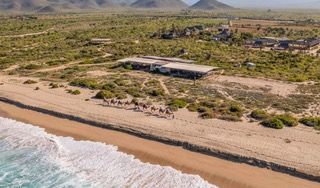 Camel riding experience on the beach in Cabo San Lucas