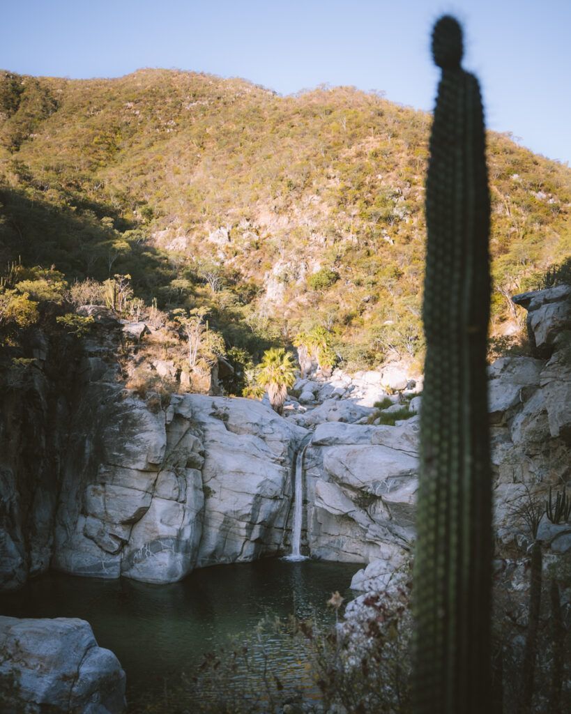 Guided hiking tour through Sierra de la Laguna Biosphere Reserve near Los Cabos