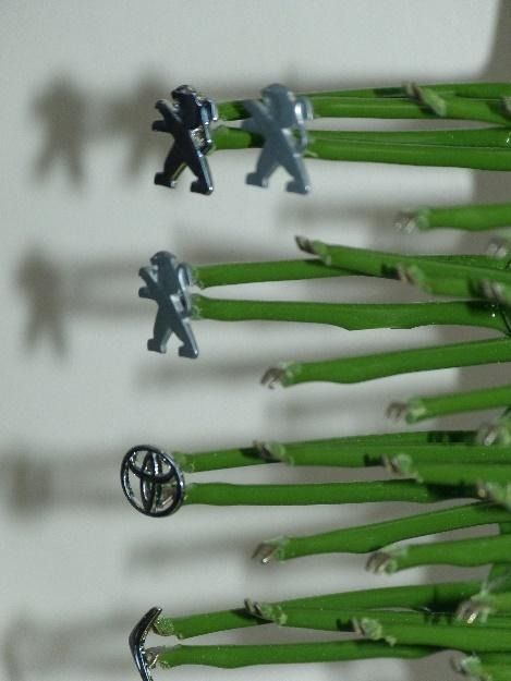 Un logotipo de Toyota está en un palo verde.