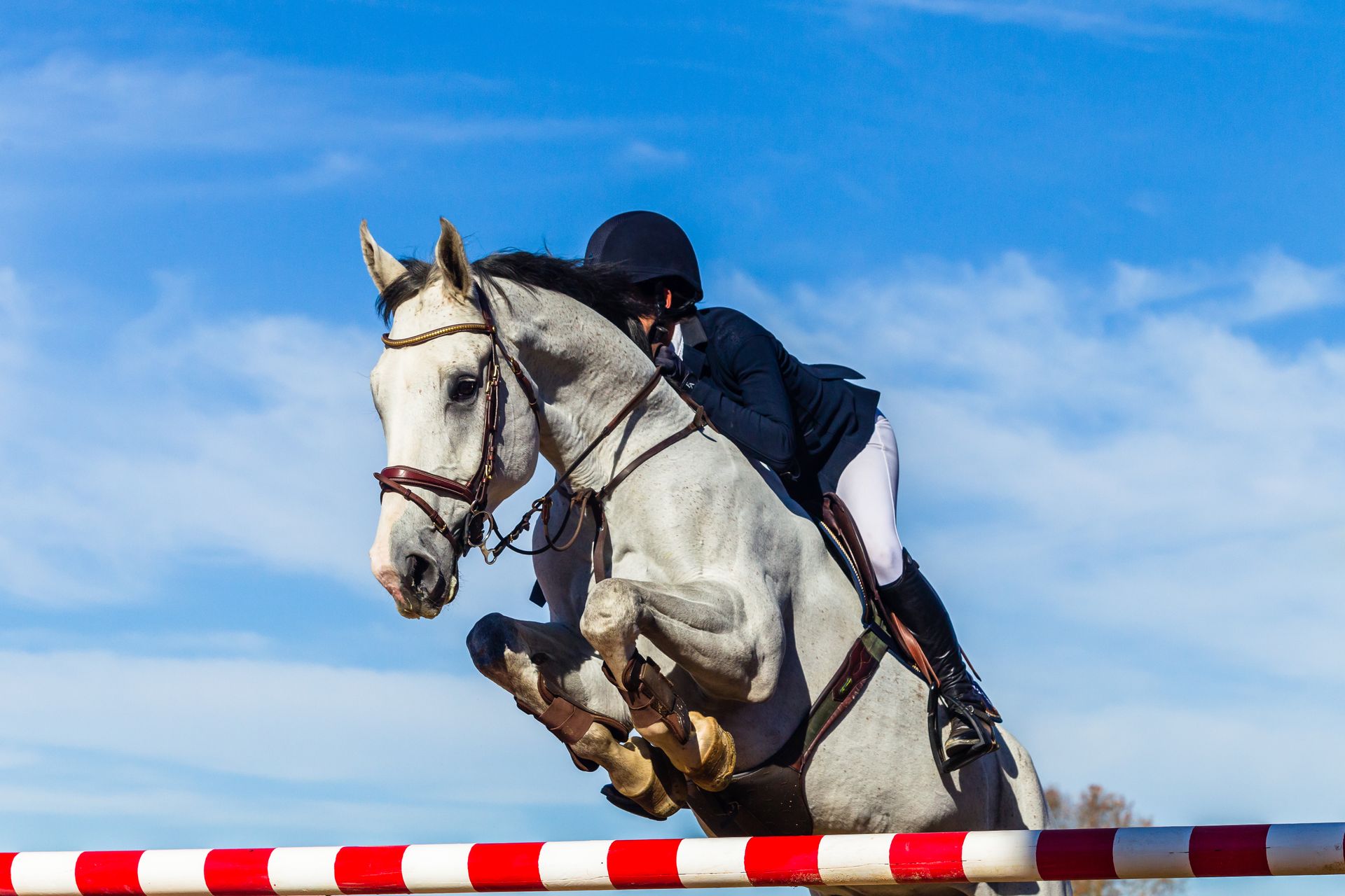 Cheval et cavalier franchissant un obstacle de saut d'obstacles rouge et blanc sur fond de ciel bleu