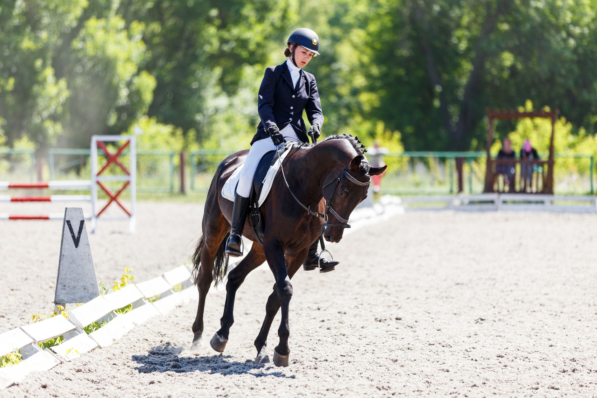 Cavalier sur un cheval noir exécutant une figure de dressage dans un manège extérieur