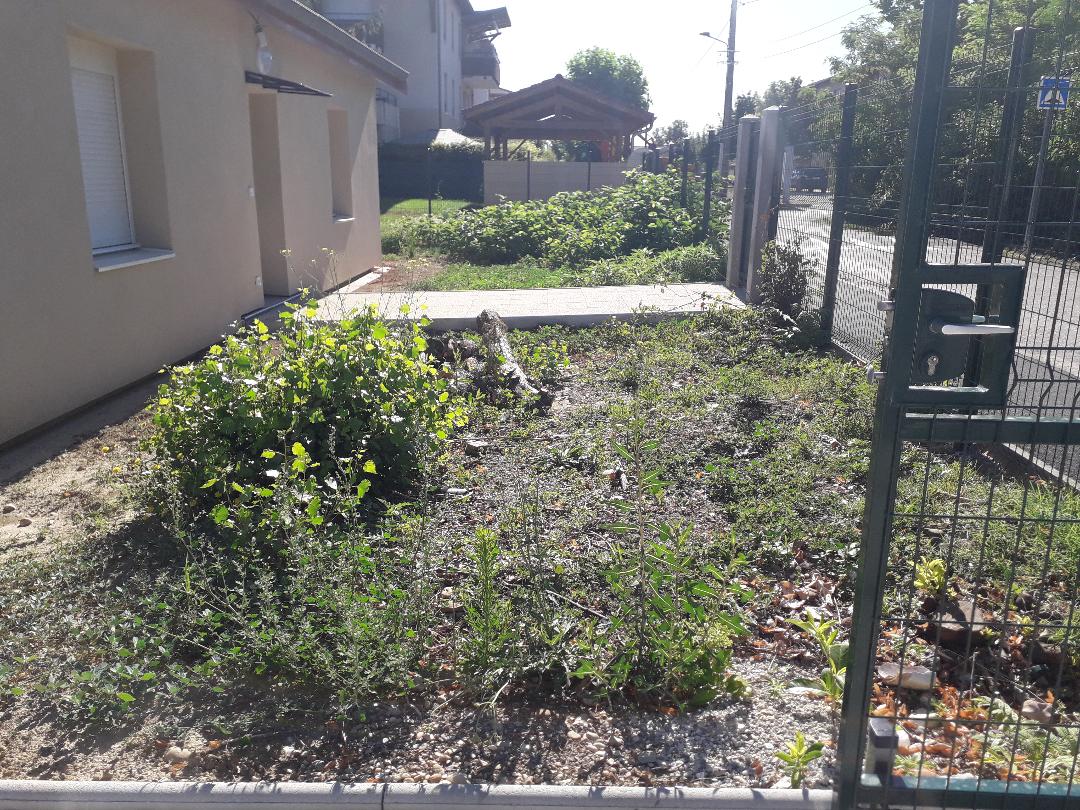 Jardin avant intervention