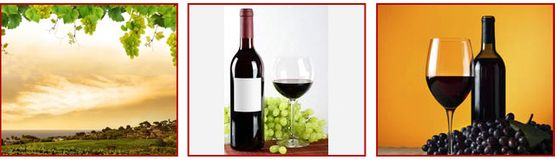 Tres imágenes cuadradas con temas de vino: viñedo, botella con copa y uvas, y una botella y copa al lado de las uvas.