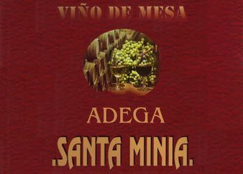 Etiqueta del vino: texto 