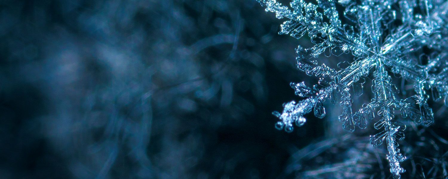 Eine Nahaufnahme einer Schneeflocke auf einem dunkelblauen Hintergrund.