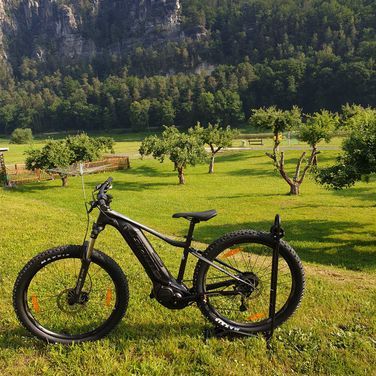 e-bike
