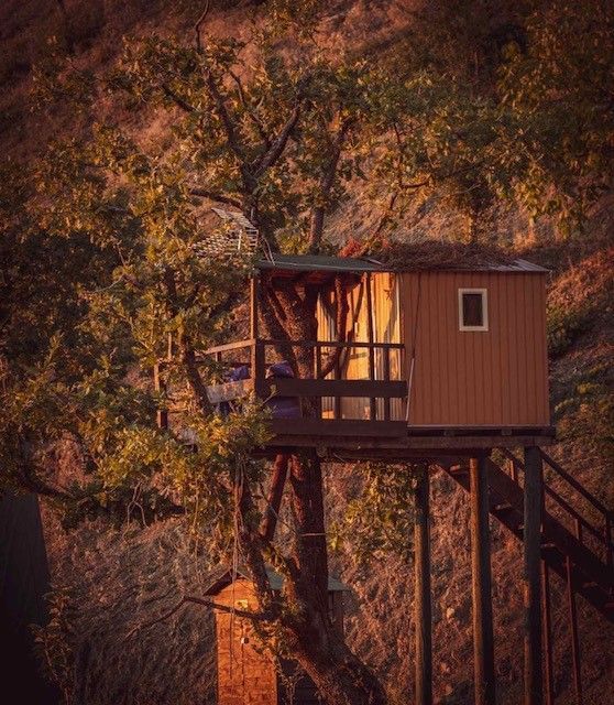 Δεντρόσπιτα στην Ελλάδα, Αγροτουρισμός Δένδρο Εξορμήσεις