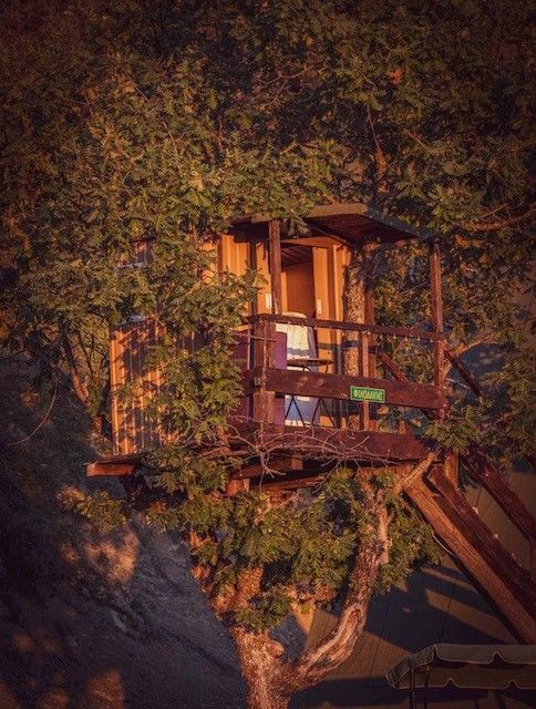 Δεντρόσπιτα στην Ελλάδα, Αγροτουρισμός Δένδρο Εξορμήσεις