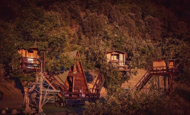 Δεντρόσπιτα στην Ελλάδα, Αγροτουρισμός Δένδρο Εξορμήσεις