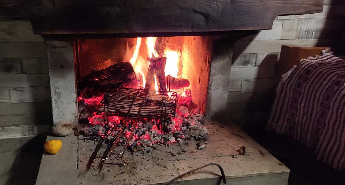 Δεντρόσπιτα στην Ελλάδα, Αγροτουρισμός Δένδρο Εξορμήσεις