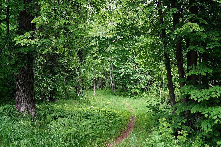 Δεντρόσπιτα στην Ελλάδα, Αγροτουρισμός Δένδρο Εξορμήσεις