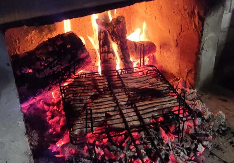 Δεντρόσπιτα στην Ελλάδα, Αγροτουρισμός Δένδρο Εξορμήσεις