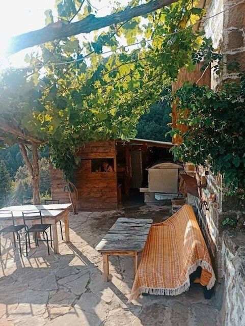 Δεντρόσπιτα στην Ελλάδα & Αγροτουρισμός στον Δέντρο Σκουληκαριάς Νομού Άρτας!