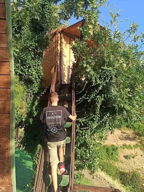 Δεντρόσπιτα στην Ελλάδα & Αγροτουρισμός στον Δέντρο Σκουληκαριάς Νομού Άρτας!