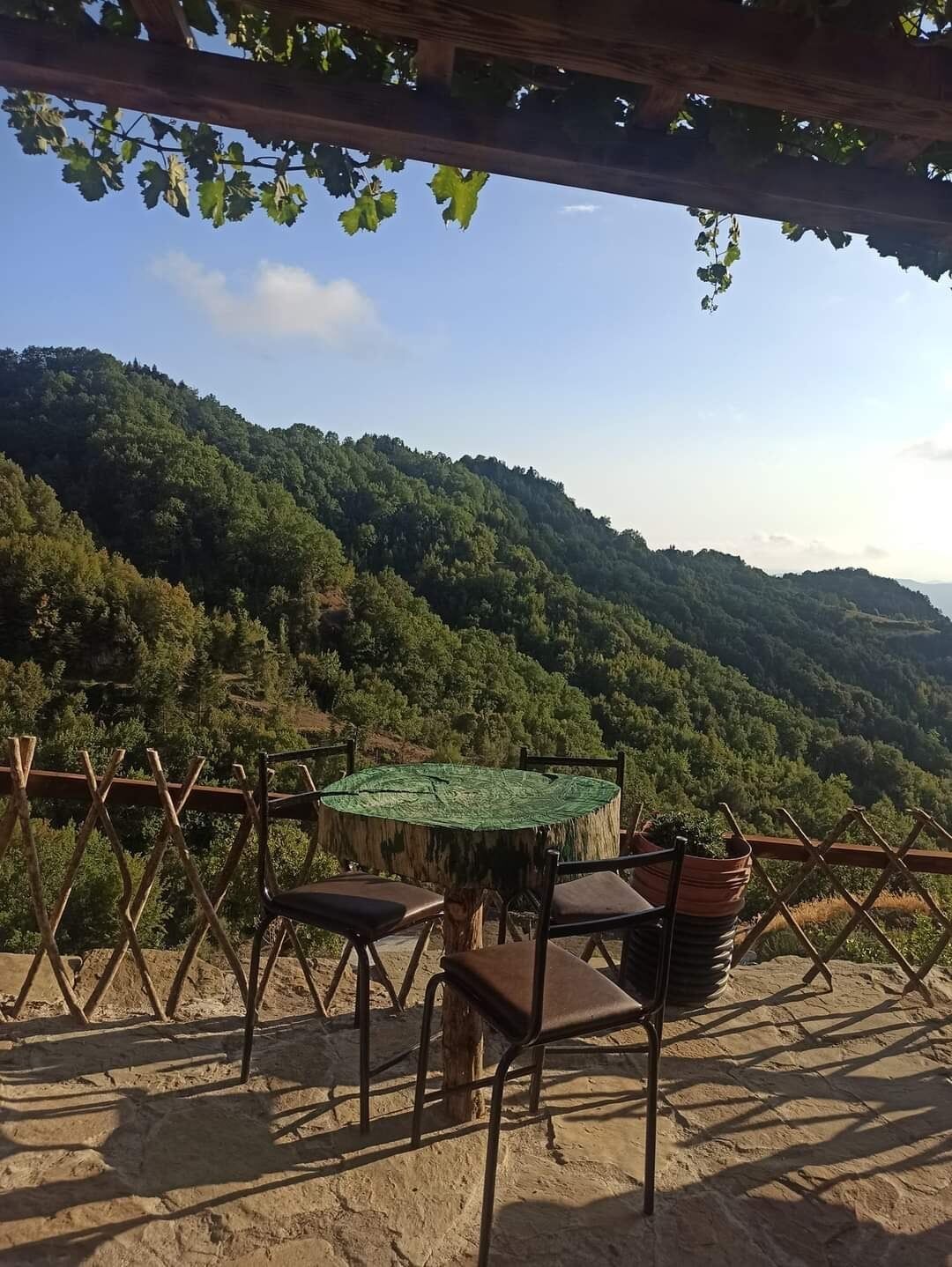 Δεντρόσπιτα στην Ελλάδα & Αγροτουρισμός στον Δέντρο Σκουληκαριάς Νομού Άρτας!