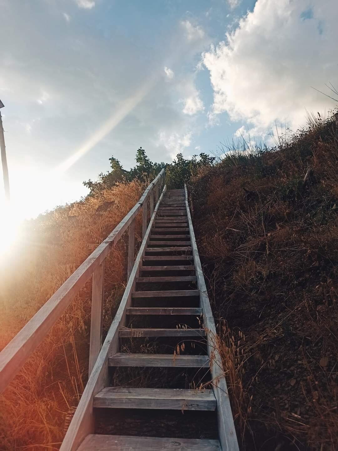 Δεντρόσπιτα στην Ελλάδα & Αγροτουρισμός στον Δέντρο Σκουληκαριάς Νομού Άρτας!